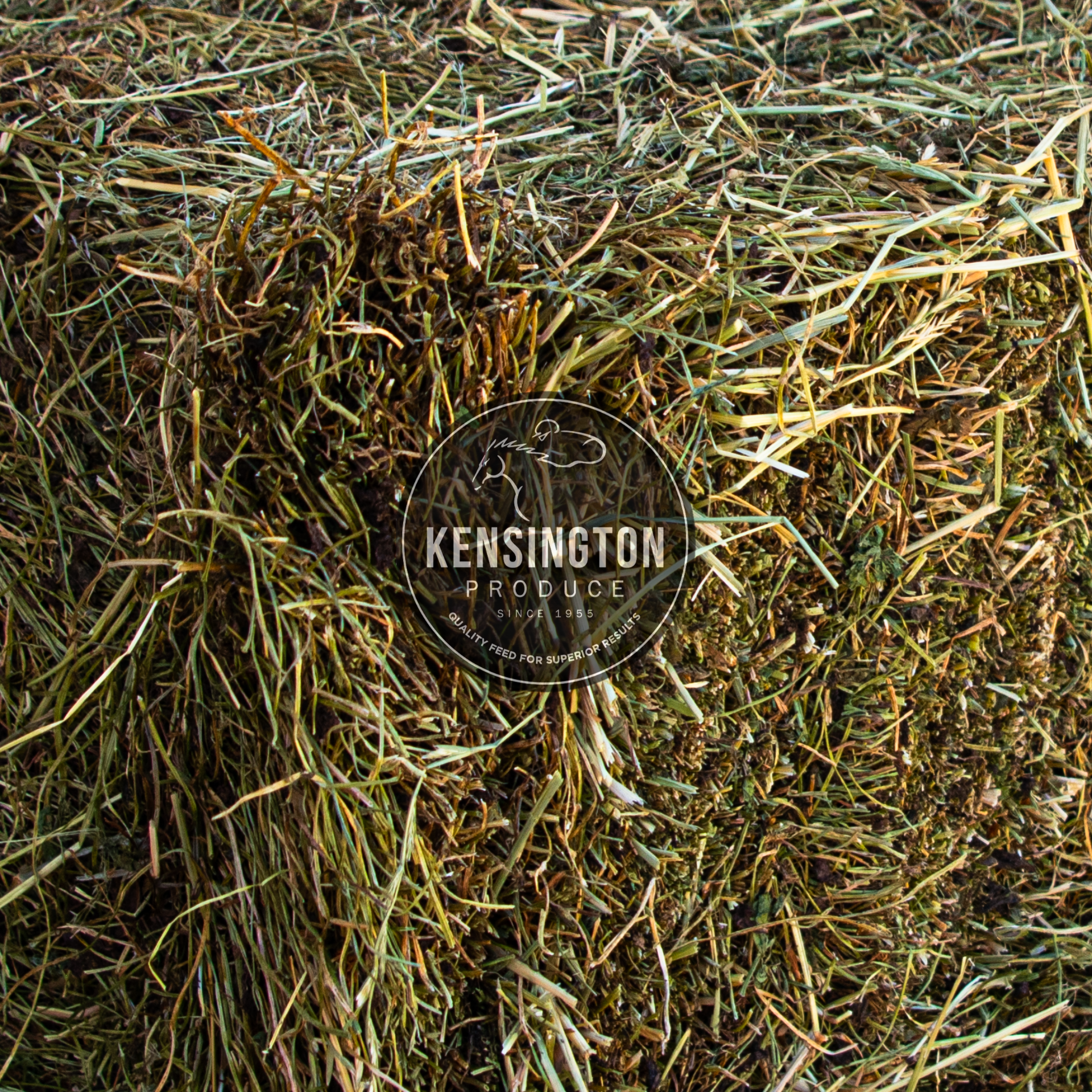 Bale of Sub Clover Hay (Green)