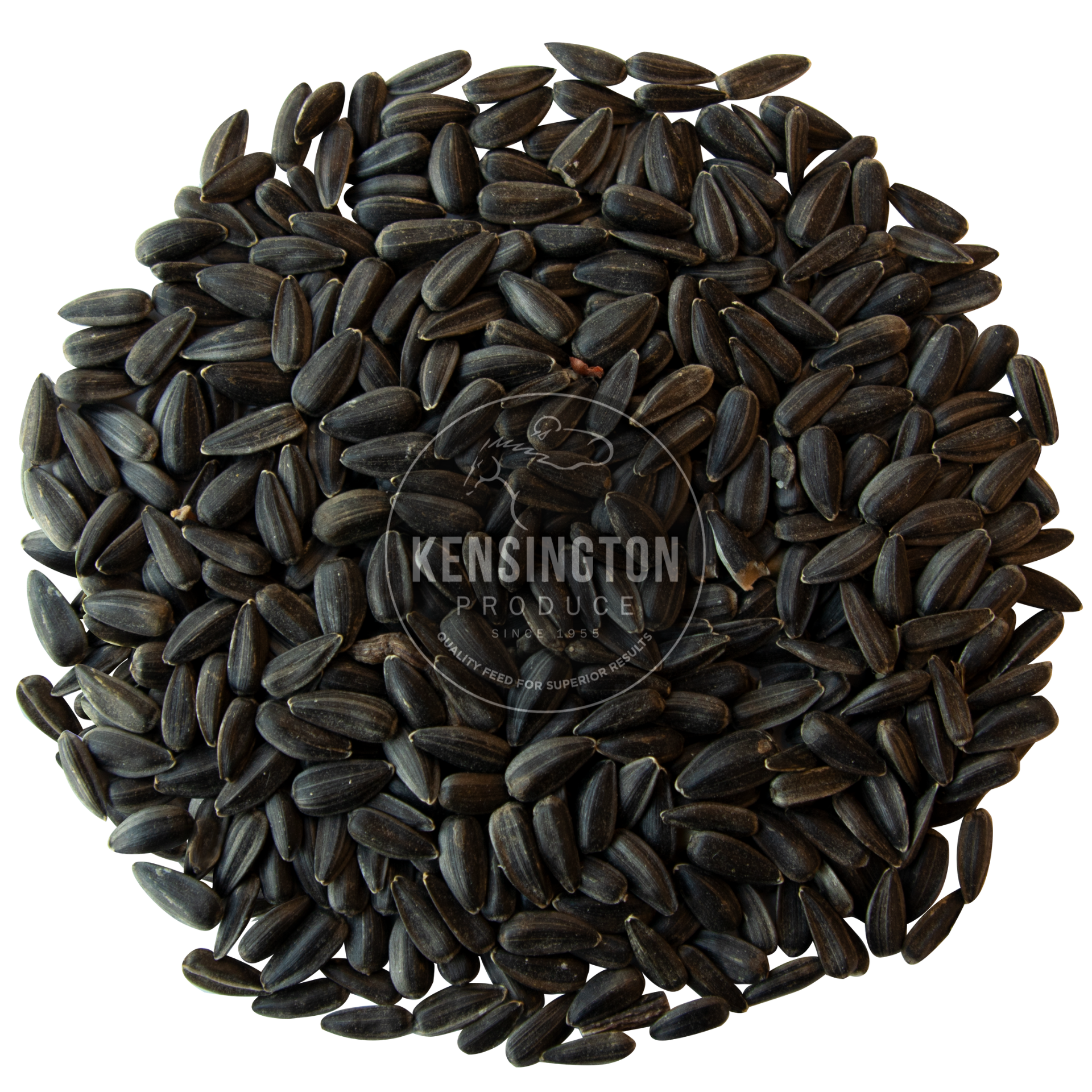 Kensington Black Sunflower