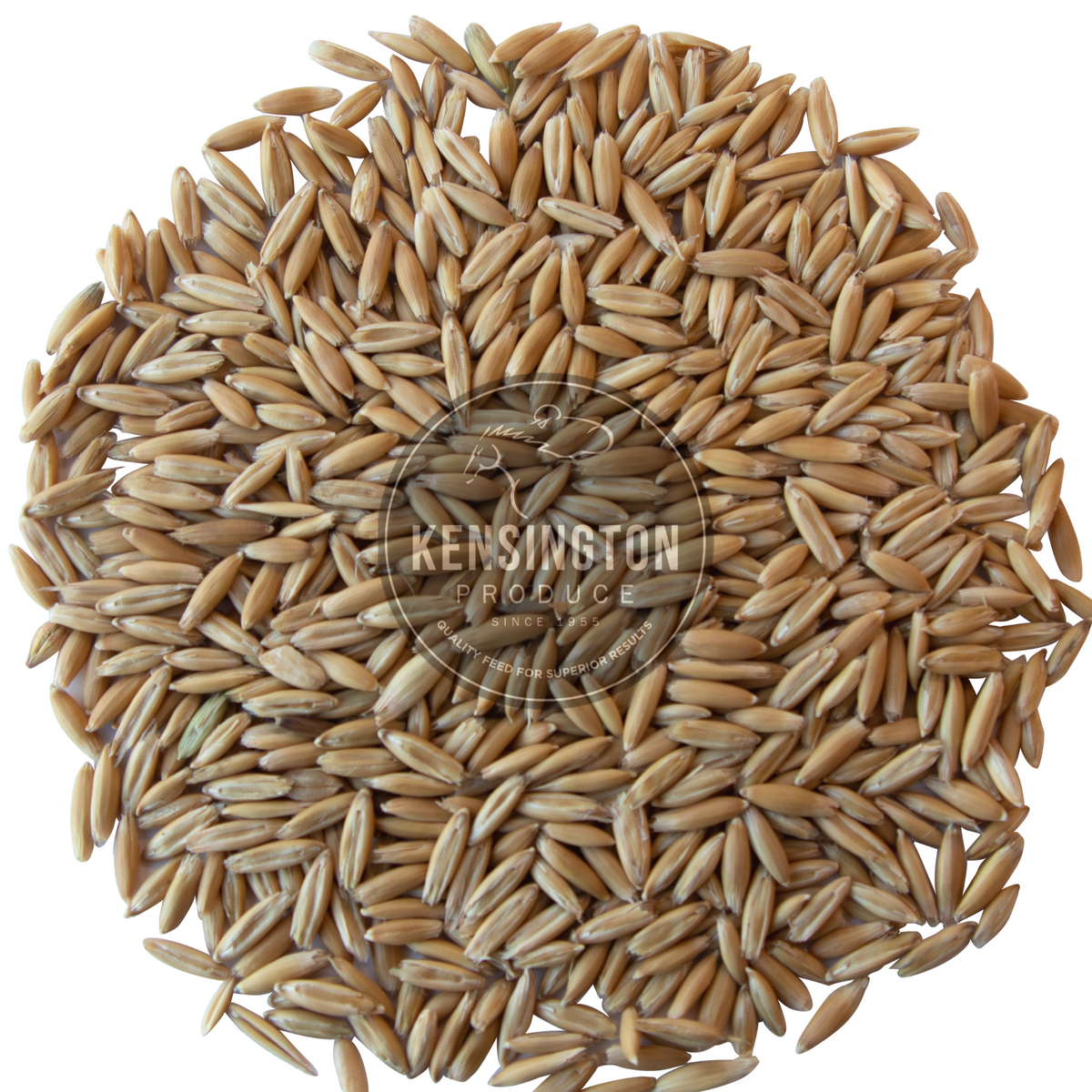 Kensington Whole Oats