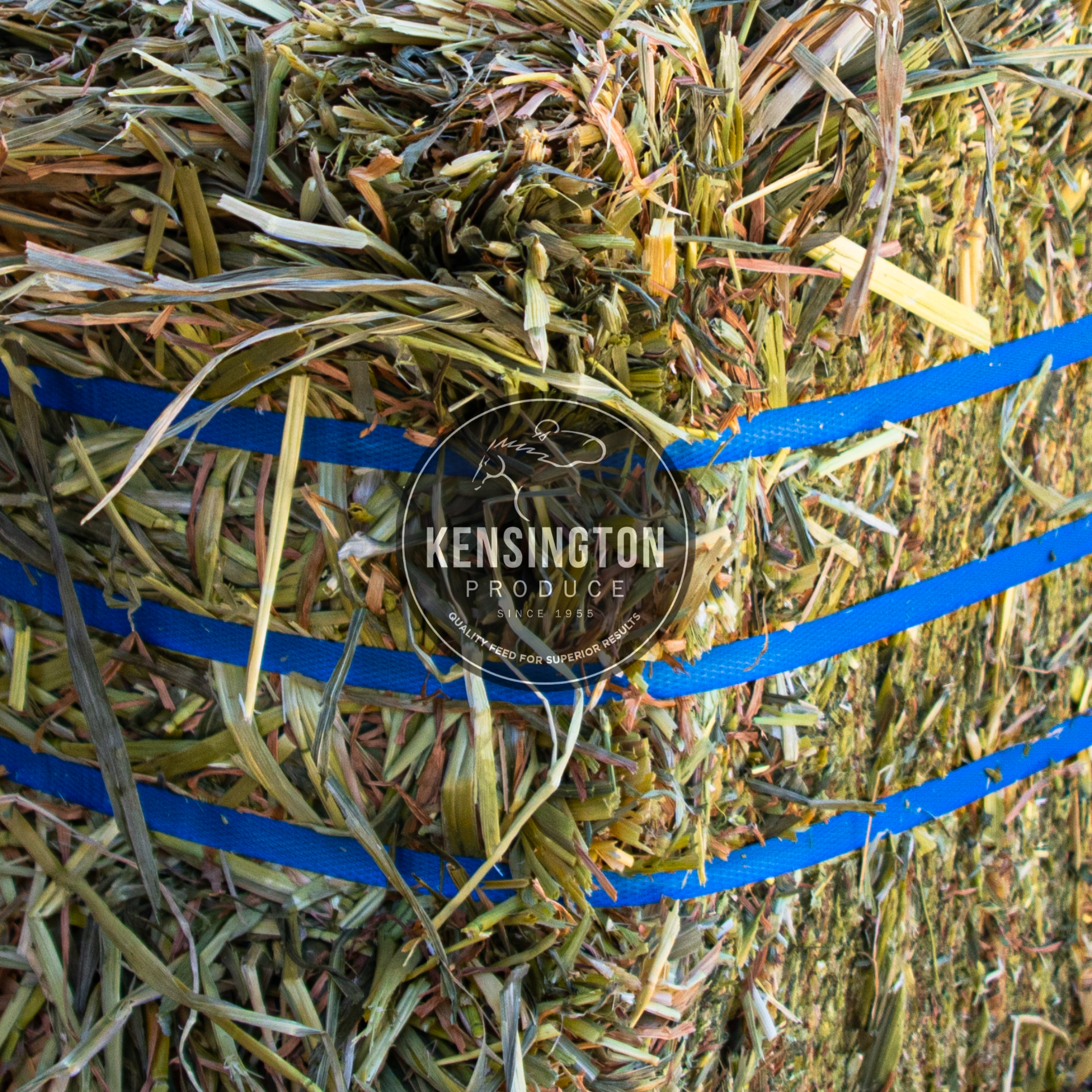 Bale of Oaten Hay