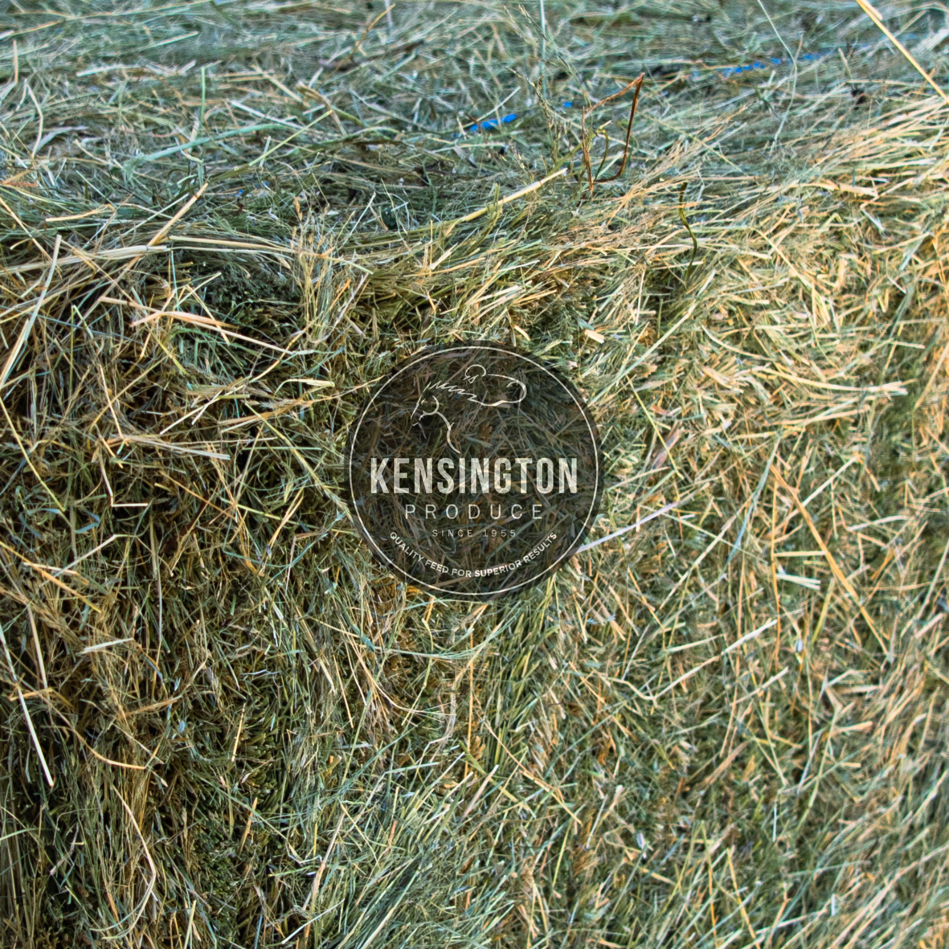 Bale of Teff Hay