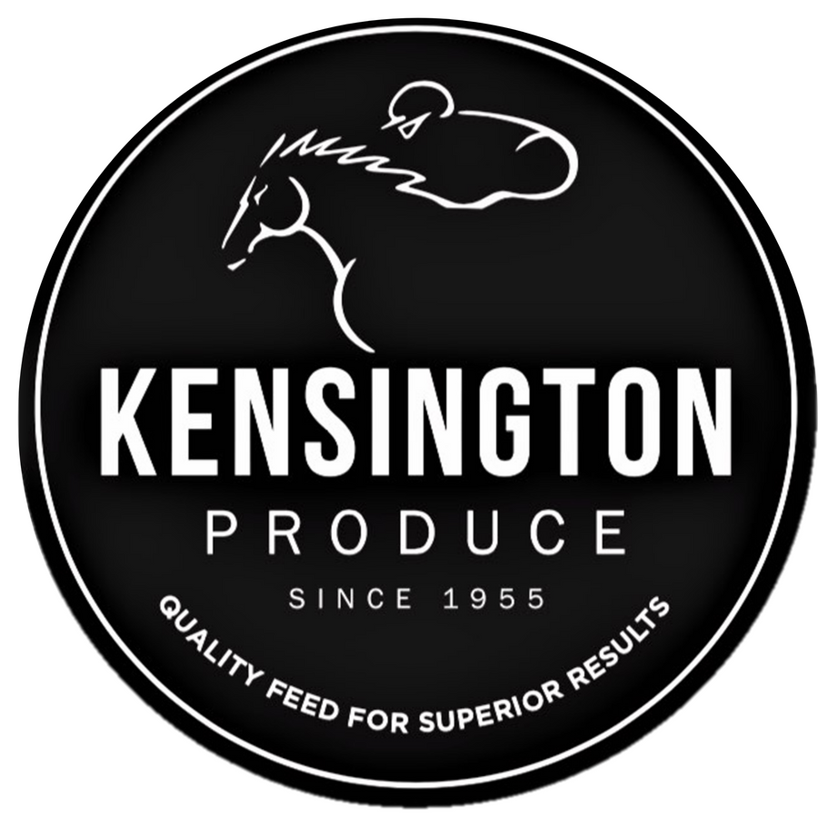 Kensington Tic Bean