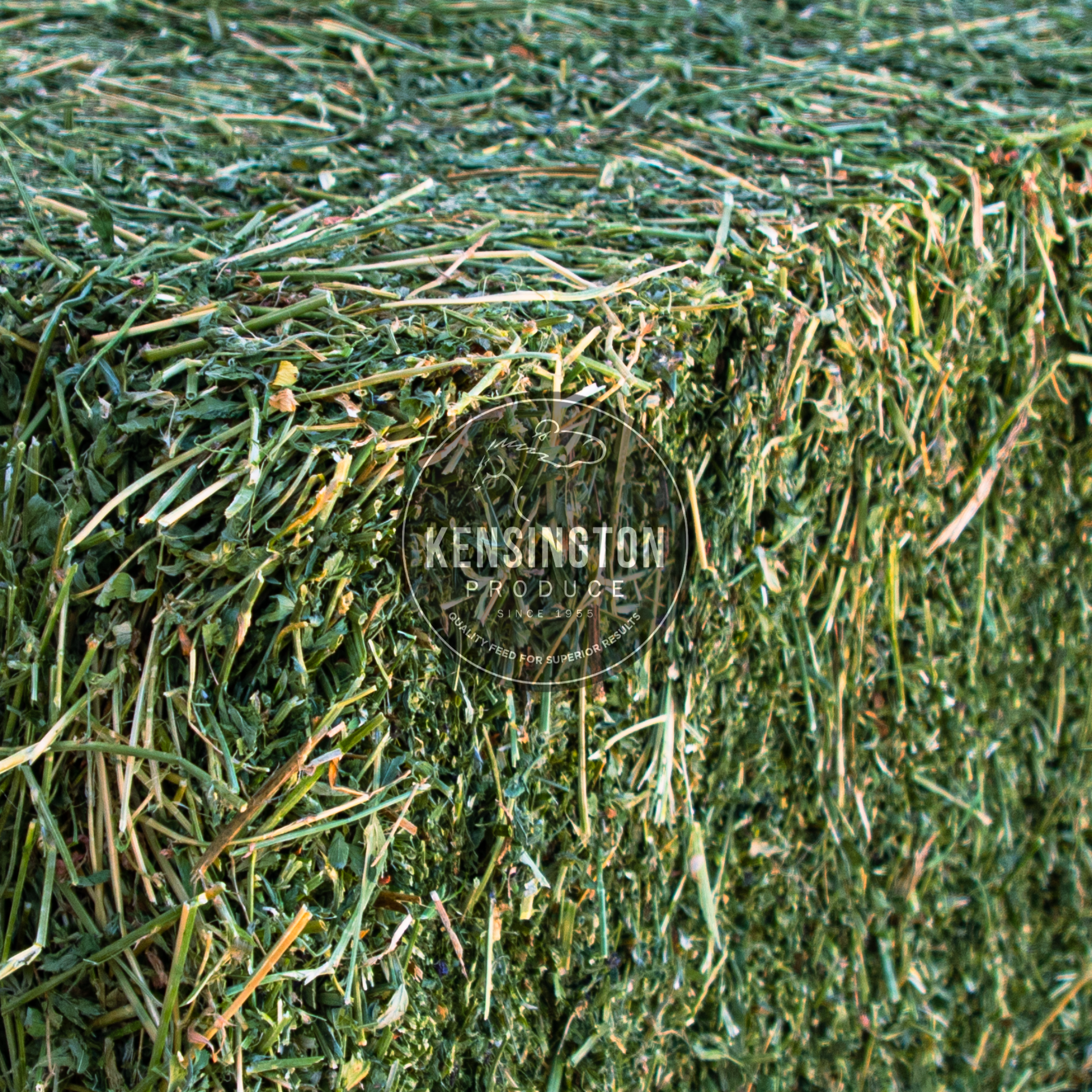 Bale of Prime VIC Lucerne Hay